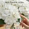 Spring Tabletop Decor – 6PCS White Silk Hydrangea Artificial Flowers for Home, Wedding & Party Centerpieces